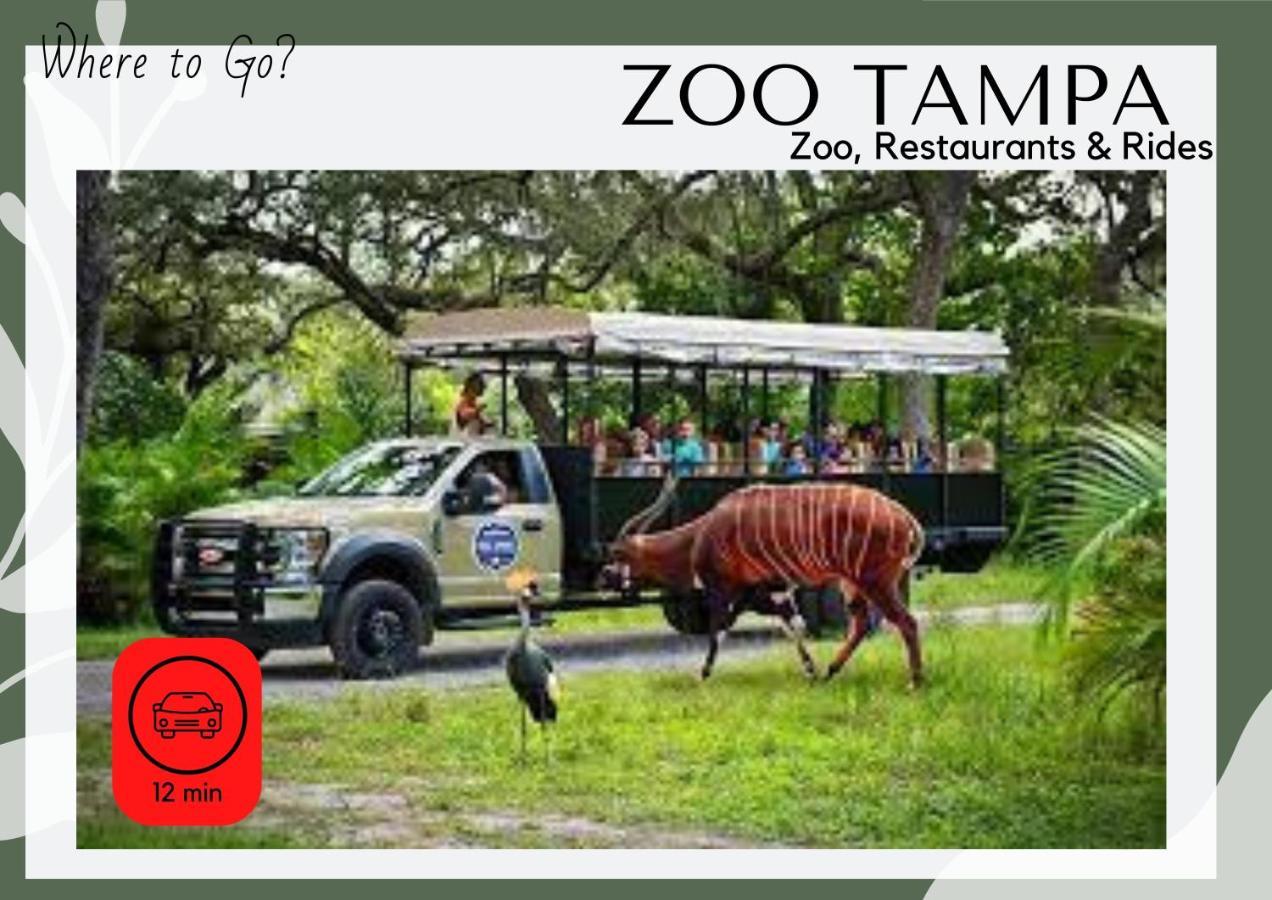 Cozy Home In Tampa Near Ybor & Busch Gardens Экстерьер фото